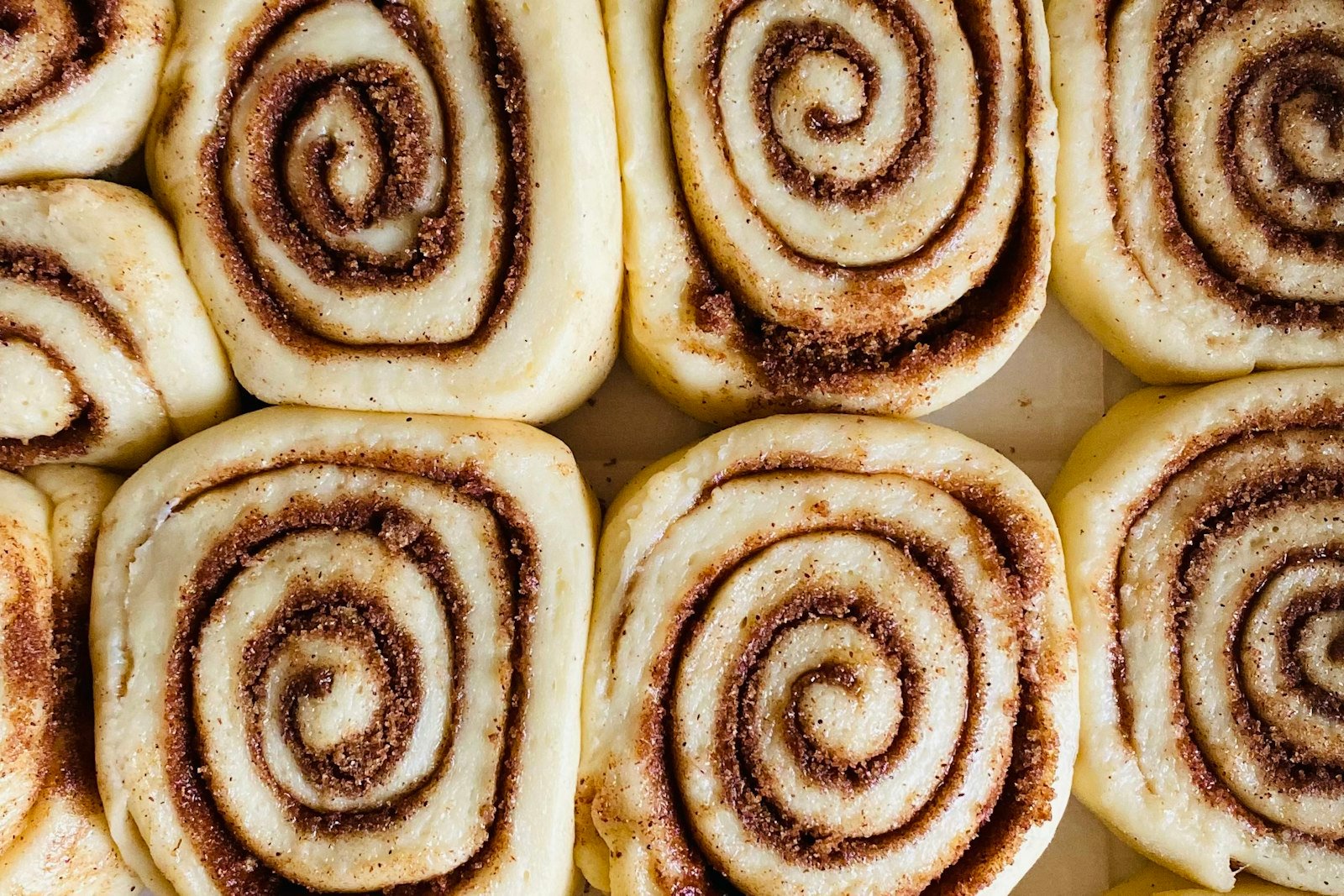 Sliced rolls of cinnamon filled dough arranged in a baking pan just before the final rise, showing the tight brown sugar swirl